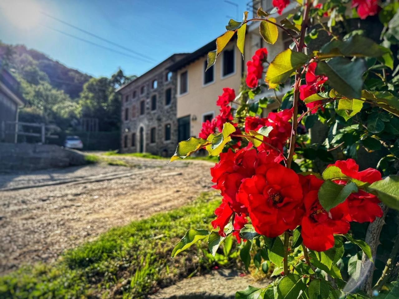 Casa Donai Leilighet San Giovanni Ilarione Eksteriør bilde